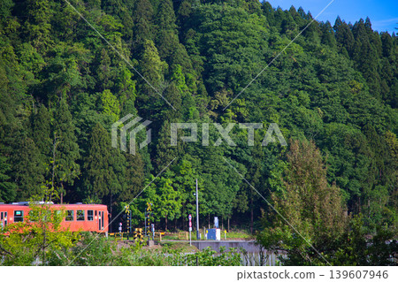 一列本地火車穿越春風。 一列本地火車穿越春風。 139607946