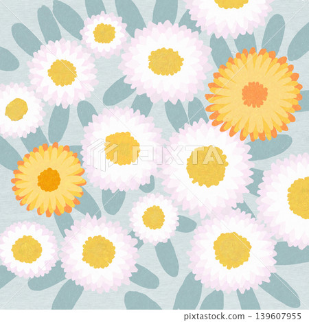Helichrysum Helichrysum 139607955