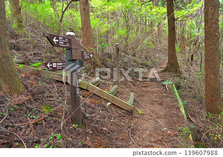 伊豆半島,伊豆山脊步道分岔點-土井峠 伊豆半島,伊豆山脊步道分岔點-土井峠 139607988