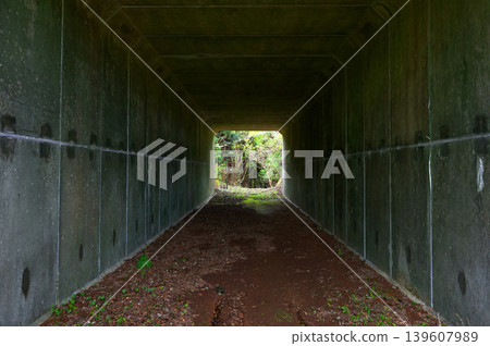 Izu Peninsula, Izu Mountain Ridge Trail, Tunnel under Shizuoka Prefectural Road 411 (Nishi-Amagi Plateau Line) at Toi Pass Izu Peninsula, Izu Mountain Ridge Trail, Tunnel under Shizuoka Prefectural Road 411 (Nishi-Amagi Plateau Line) at Toi Pass 139607989