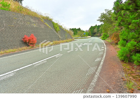 Shizuoka Prefectural Road 411, Nishi-Amagi Plateau Line, runs parallel to the Izu Mountain Ridge Trail on the Izu Peninsula. 139607990