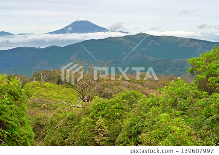Izu Peninsula, Izu Mountain Ridge Trail, View of Mt. Fuji and Mt. Daruma from Mt. Tamashii Izu Peninsula, Izu Mountain Ridge Trail, View of Mt. Fuji and Mt. Daruma from Mt. Tamashii 139607997
