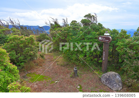 伊豆半島、伊豆山脊步道、玉之山山頂 伊豆半島、伊豆山脊步道、玉之山山頂 139608005