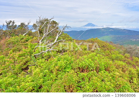 伊豆半島,伊豆山脊步道,從玉之山山頂眺望白雪皚皚的富士山和達摩山 伊豆半島,伊豆山脊步道,從玉之山山頂眺望白雪皚皚的富士山和達摩山 139608006