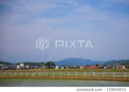 一列本地火車穿越春風。 139608018