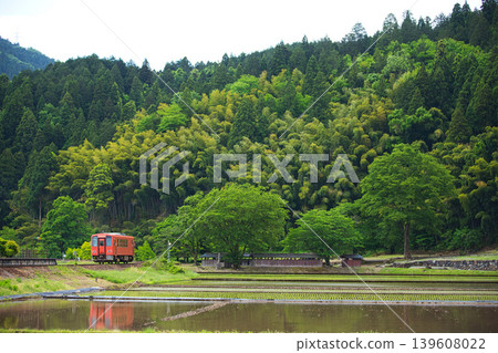 A local train running through the spring breeze A local train running through the spring breeze 139608022