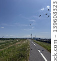 Birds flying in the blue sky and along the riverbank 139608323
