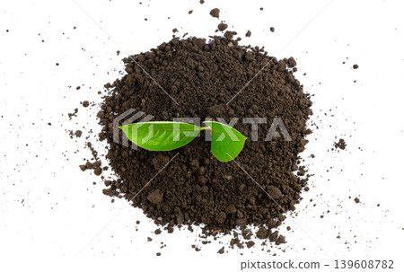Green leaves on fertile soil isolated on white background Green leaves on fertile soil isolated on white background 139608782