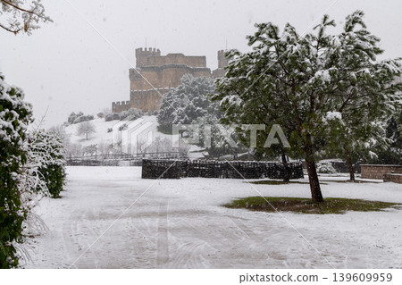 castle, fortress, fort 139609959