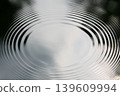 Ripples on the surface of the pond 139609994