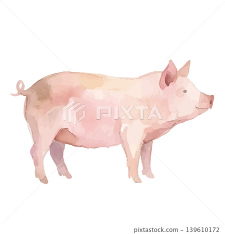 Watercolor-style pig illustration Watercolor-style pig illustration 139610172