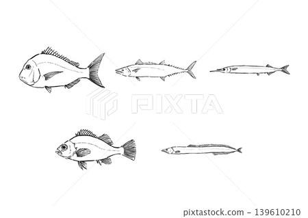 一組春季當季魚類－海鮮插畫素材 139610210