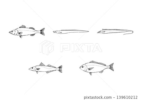 A set of fish that are in season during the summer - Seafood illustration material A set of fish that are in season during the summer - Seafood illustration material 139610212