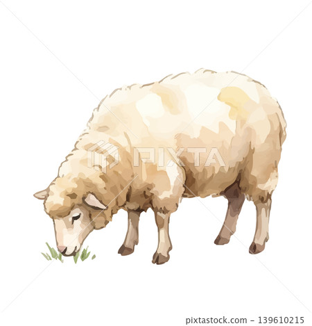 Watercolor-style illustration of a sheep Watercolor-style illustration of a sheep 139610215