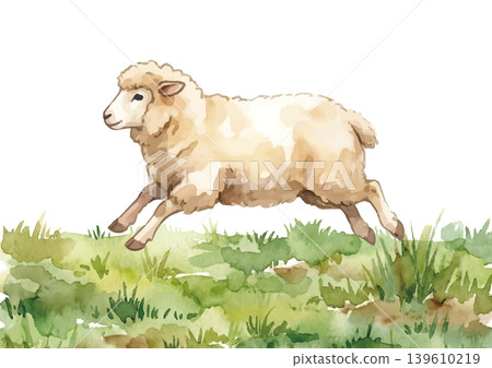 Watercolor-style illustration of a sheep Watercolor-style illustration of a sheep 139610219