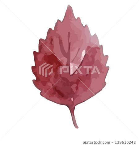 Watercolor-style illustration of pickled plums and red perilla leaves Watercolor-style illustration of pickled plums and red perilla leaves 139610248