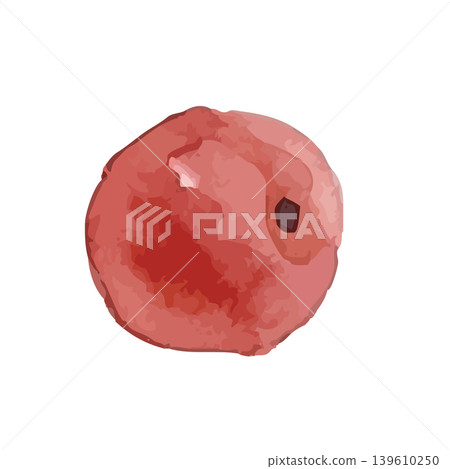 水彩風格的醃梅和紅紫蘇葉插圖 139610250