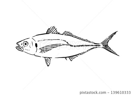 竹莢魚(海水魚材質)的線條畫插圖 竹莢魚(海水魚材質)的線條畫插圖 139610333