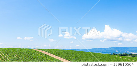 A refreshing and liberating summer scene on a hilltop in Biei, Hokkaido, under a clear blue summer sky. 139610504