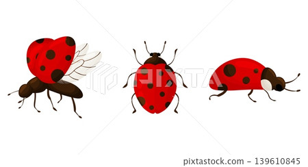 Three Red Ladybugs Set Different Views Clipart Three Red Ladybugs Set Different Views Clipart 139610845