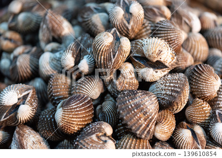 Pile of fresh cockle shells with natural texture and seafood market detail captured in closeup with warm lighting and organic coastal atmosphere Pile of fresh cockle shells with natural texture and seafood market detail captured in closeup with warm lighting and organic coastal atmosphere 139610854