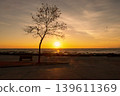 Serene seaside sunset with silhouetted tree and bench, tranquil horizon glowing in warm orange and purple tones. 139611369