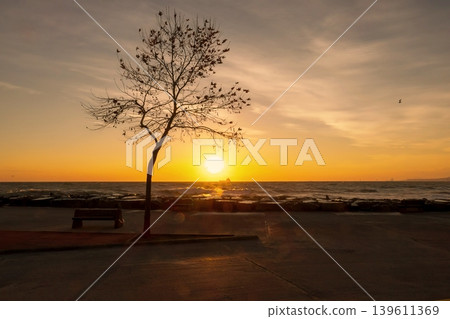 Serene seaside sunset with silhouetted tree and bench, tranquil horizon glowing in warm orange and purple tones. Serene seaside sunset with silhouetted tree and bench, tranquil horizon glowing in warm orange and purple tones. 139611369