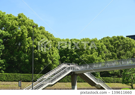 Aoyama Street and the rows of trees in fresh greenery 139611660