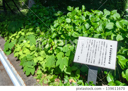 據說沖田總司去世的地方。 據說沖田總司去世的地方。 139611670