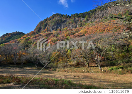 屏風岩公園(奈良縣宇田郡佐尼村)的秋葉 屏風岩公園(奈良縣宇田郡佐尼村)的秋葉 139611679
