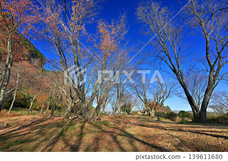 Autumn foliage at Byobu-iwa Park (Soni Village, Uda District, Nara Prefecture) Autumn foliage at Byobu-iwa Park (Soni Village, Uda District, Nara Prefecture) 139611680