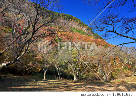 Autumn foliage at Byobu-iwa Park (Soni Village, Uda District, Nara Prefecture) 139611683