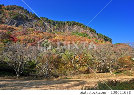 Autumn foliage at Byobu-iwa Park (Soni Village, Uda District, Nara Prefecture) Autumn foliage at Byobu-iwa Park (Soni Village, Uda District, Nara Prefecture) 139611688