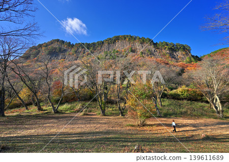 屏風岩公園(奈良縣宇田郡佐尼村)的秋葉 屏風岩公園(奈良縣宇田郡佐尼村)的秋葉 139611689