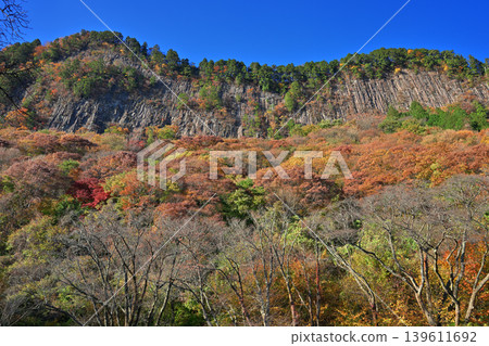 屏風岩公園(奈良縣宇田郡佐尼村)的秋葉 屏風岩公園(奈良縣宇田郡佐尼村)的秋葉 139611692