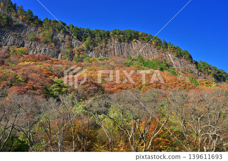 屏風岩公園（奈良縣宇田郡佐尼村）的秋葉 139611693