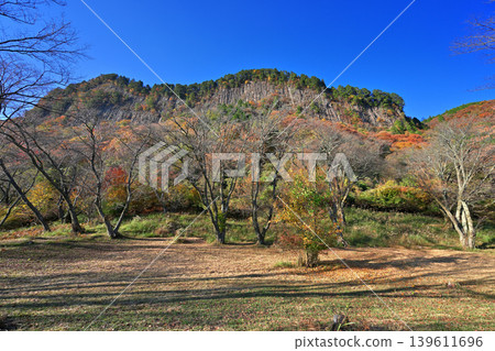 屏風岩公園(奈良縣宇田郡佐尼村)的秋葉 屏風岩公園(奈良縣宇田郡佐尼村)的秋葉 139611696