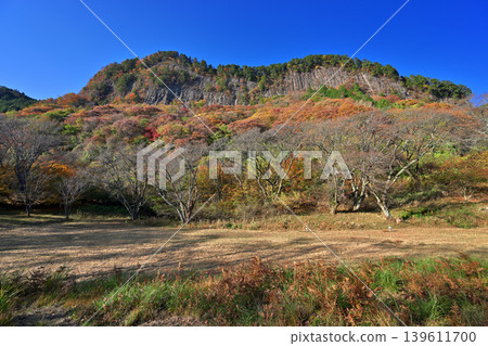 屏風岩公園(奈良縣宇田郡佐尼村)的秋葉 屏風岩公園(奈良縣宇田郡佐尼村)的秋葉 139611700