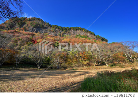 屏風岩公園(奈良縣宇田郡佐尼村)的秋葉 屏風岩公園(奈良縣宇田郡佐尼村)的秋葉 139611708