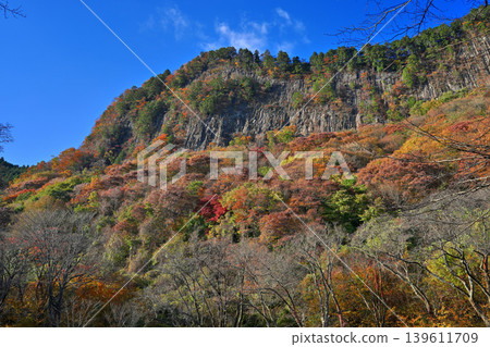 屏風岩公園（奈良縣宇田郡佐尼村）的秋葉 139611709