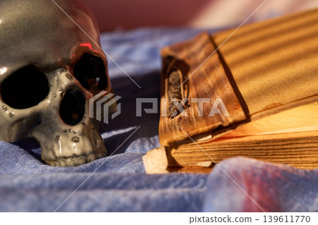 Elderly manuscript with insect details. Antique skull and worn pages evoke themes of mortality and historical reflection Elderly manuscript with insect details. Antique skull and worn pages evoke themes of mortality and historical reflection 139611770