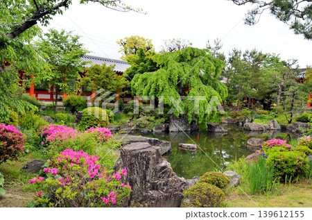 三十三間堂池泉海遊式庭園 三十三間堂池泉海遊式庭園 139612155