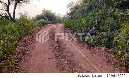 Dirt road leading through green forest at Tilla Jogian Pakistan Dirt road leading through green forest at Tilla Jogian Pakistan 139612351