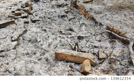 Burnt ground covered with grey ash and broken bricks after a destructive fire Burnt ground covered with grey ash and broken bricks after a destructive fire 139612354