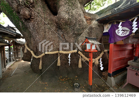 Kaoru Watanobi of Mishima Shrine (Kadoma-shi, Osaka prefecture) 139612469