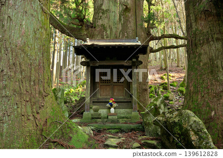 Hozuki Jizo Cedar (Taga Town, Inukami District, Shiga Prefecture) 139612828