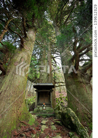 Hozuki Jizo Cedar (Taga Town, Inukami District, Shiga Prefecture) 139612829