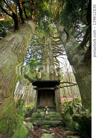 Hozuki Jizo Cedar (Taga Town, Inukami District, Shiga Prefecture) 139612830