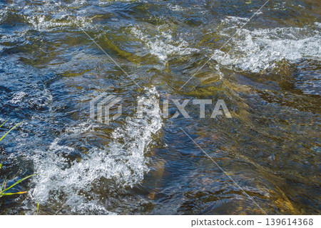 Close-up of a clear stream in early winter (16) Close-up of a clear stream in early winter (16) 139614368