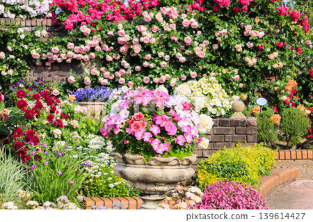 Hirakata Park: Rose Garden in Full Bloom 139614427